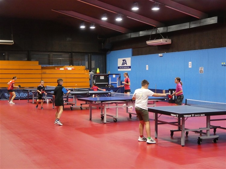 P1000810.jpg