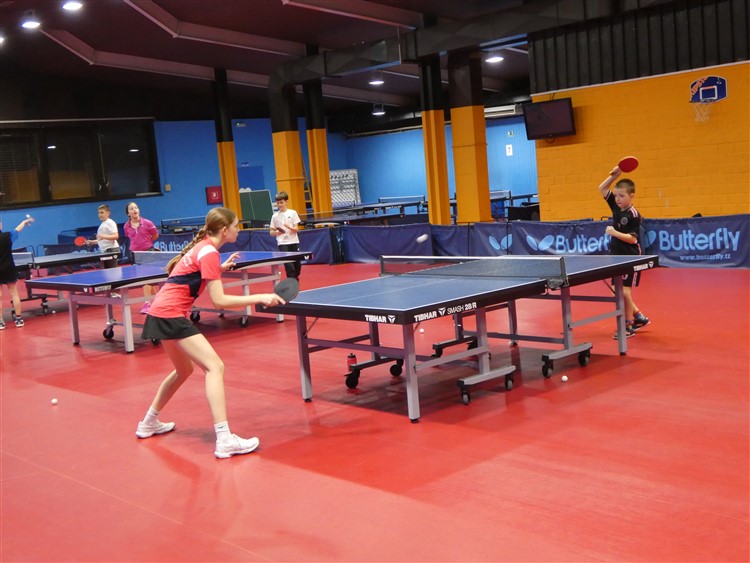 P1000823.jpg