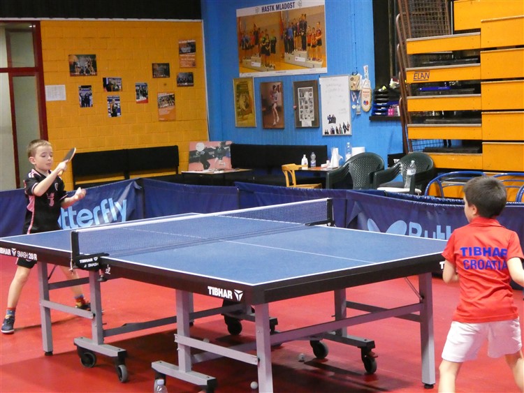 P1000825.jpg
