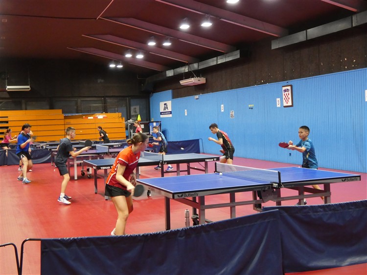 P1000836.jpg